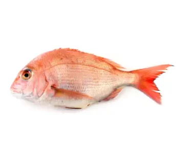 Red bream fish 500/700 1kg