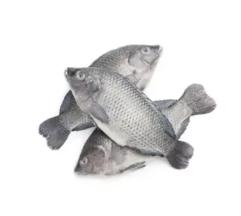 Tilapia 800 Up 2.5kg