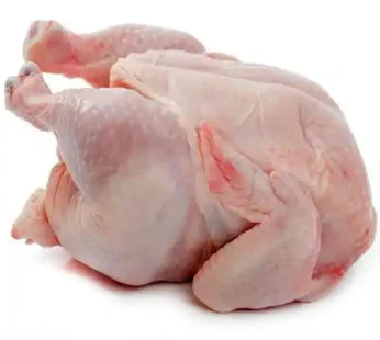 Broiler whole Chicken (Hard Chicken) x1