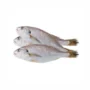 Yellow Croaker Fish 3kg