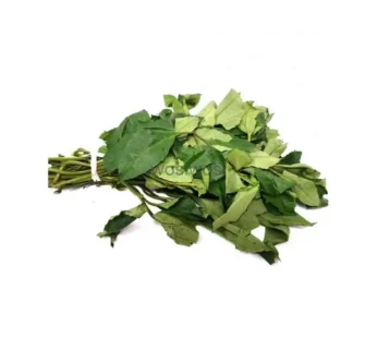 Fresh Ugu Bunch