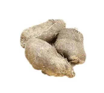 Water Yam Tuber