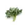 Fresh Ewedu Bunch