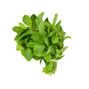 Fresh Scent Leaf