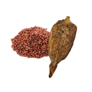 Alligator Pepper (Atare) x1