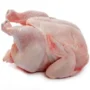 Broiler whole Chicken (Hard Chicken) Box 10kg