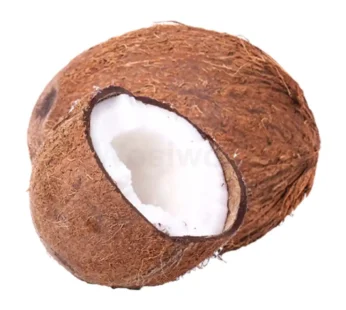 Coconut