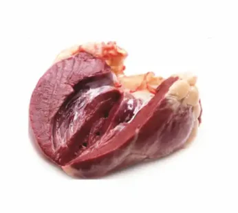 Heart 10kg